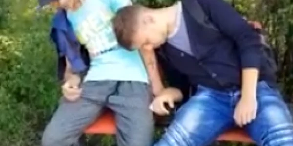 drogati campia turzii. foto captură video