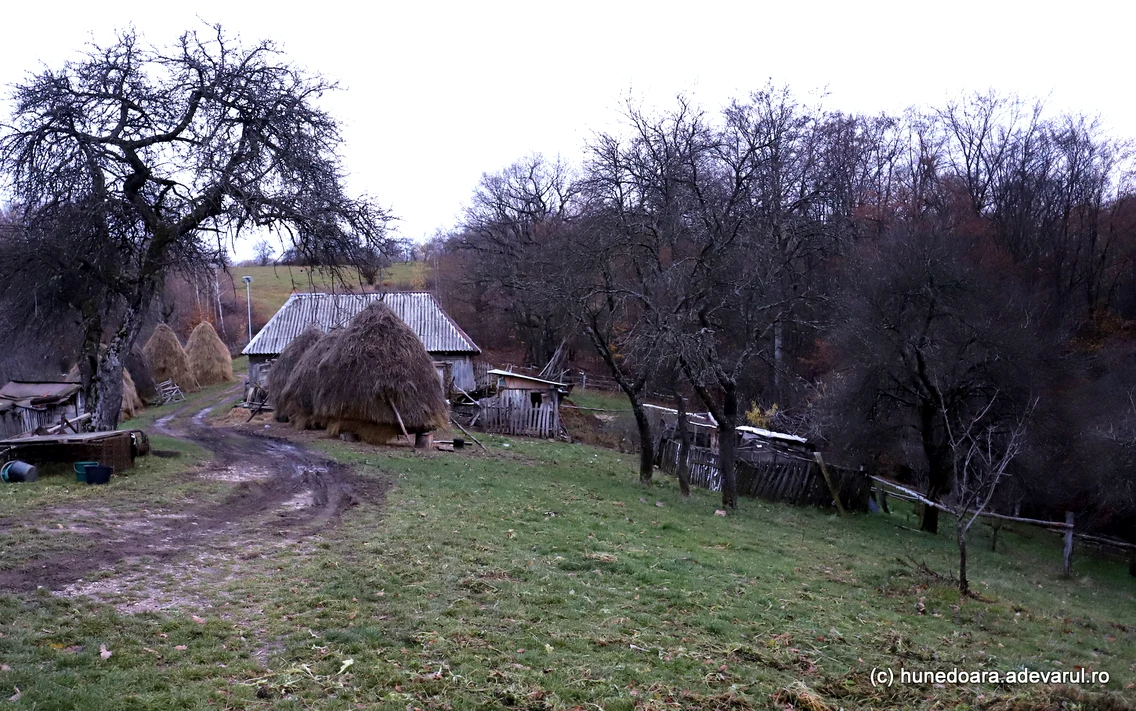 Fața Roșie, comuna Bătrâna, Foto Daniel Guță, ADEVĂRUL (2) JPG