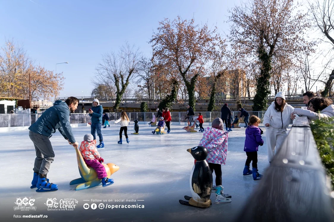 Patinoarul. FOTO Facebook Nicușor Dan