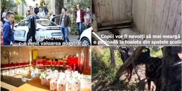 colaj