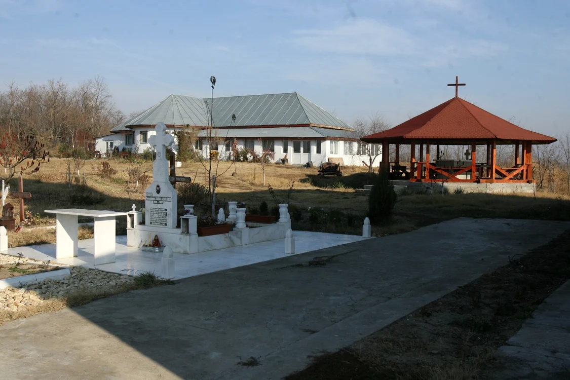 calarasi tariceni