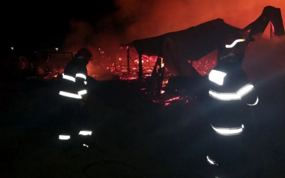 Pompierii au intervenit pentru stingerea flăcărilor FOTO Adevărul