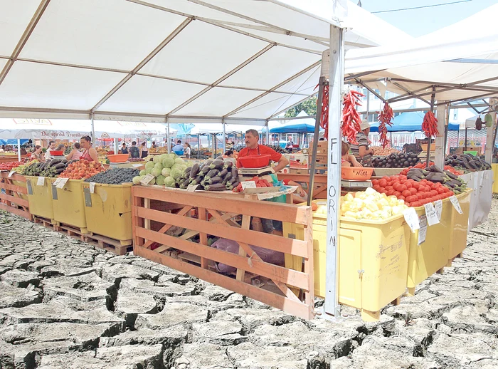 
    "Luaţi de la  mine roşii grase, de grădină,  foarte bune",  Florin, Piaţa OborFotomontaj: Click!  