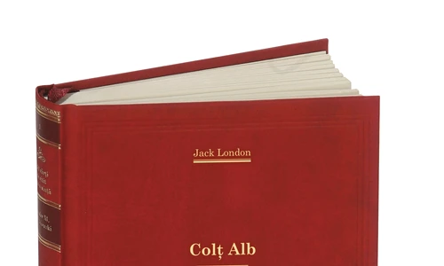 1 54669 original jpg jpeg