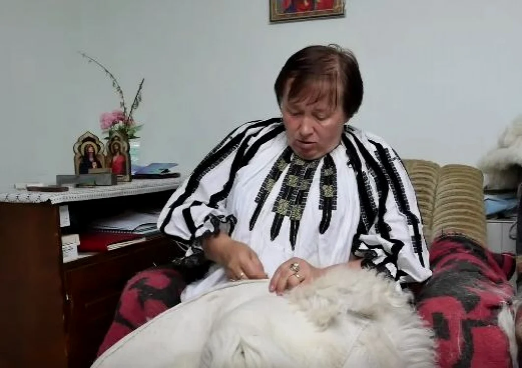 cojocar valea sebesului