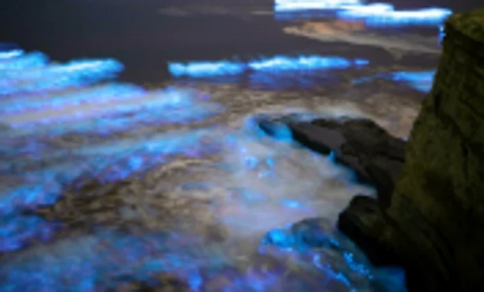 Valurile bioluminescente in sudul Californiei FOTO Twitter