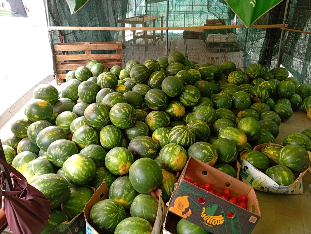 Tarabă cu pepeni