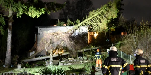 germania-furtuna-foto-news