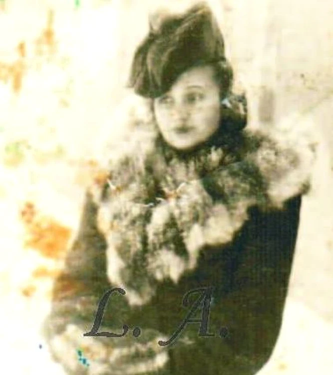 calarasi moda