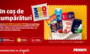 3RO Campanie 3RO Flight ian landscape jpg