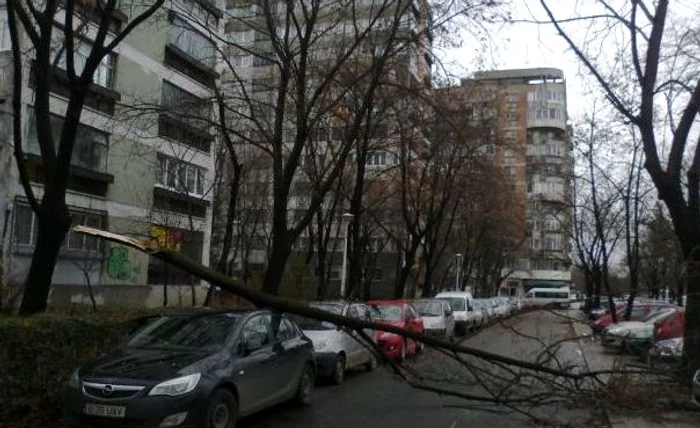 Foto arhivă