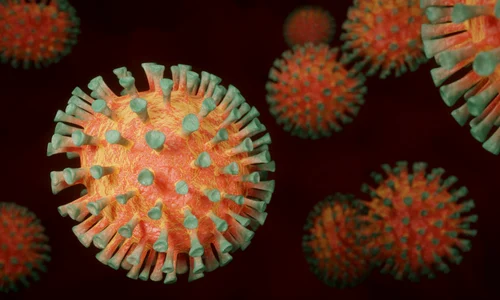 covid celule jpg