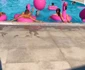 17 petrecere la piscina adelina pestritu jpg jpeg