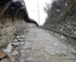 Cetatea Devei Foto Daniel Guță (6) jpg