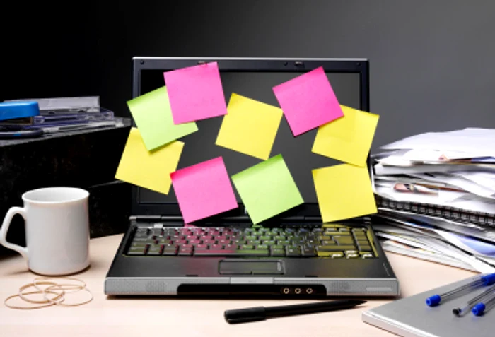 
    Leii trebuie să se organizeze mai bine   