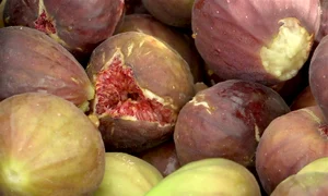 smochina coapta se sparge jpg