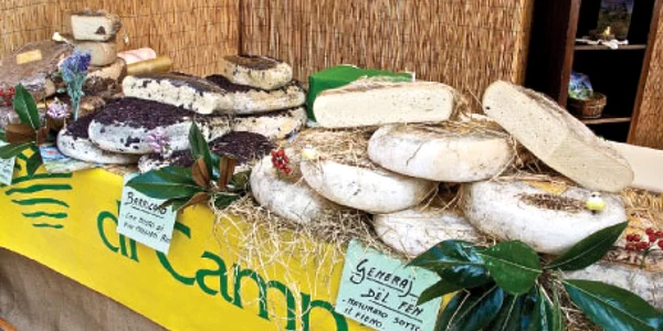 Cuneo se mândreşte cu brânzeturile produse artizanal