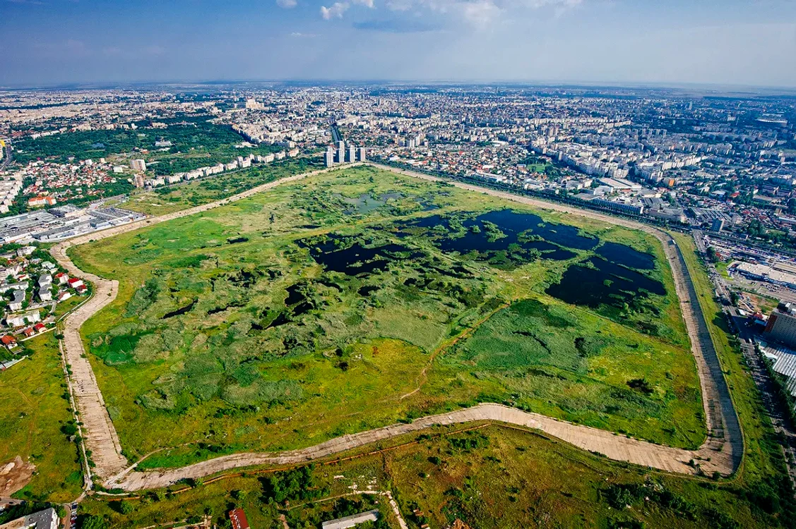 Parcul Natural Văcărești