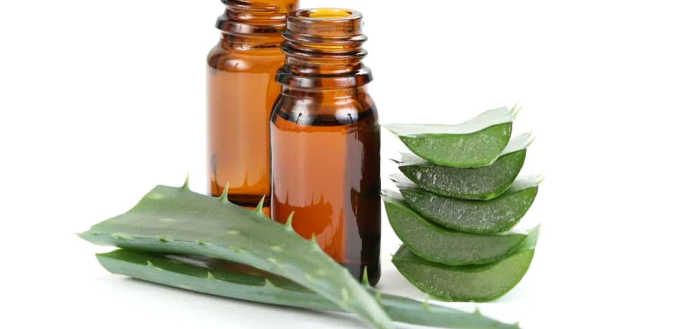 Aloe vera este benefică în tratarea constipaţiei, fiind renumită pentru efectele sale laxative