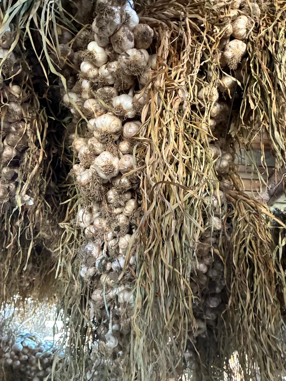 Cumpărătorii preferă să-l cumpere astfel pregătit FOTO: arhiva fermier Ilie Oncică