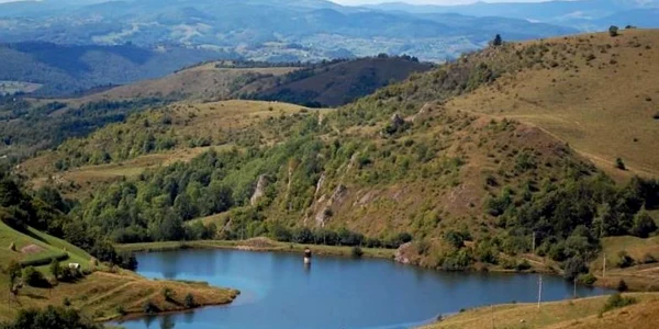 tauri rosia montana