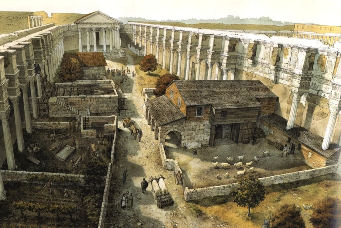 Forumul lui Nerva, în Roma secolelor VIII-IX, un exemplu de ruralizare a spațiilor urbane antice