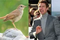 Tom Cruise  foto   Shutterstock jpg