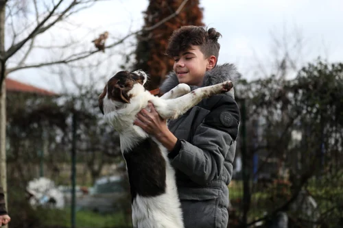 Câini adoptați de Alin Nica FOTO Facebook/Alin Nica