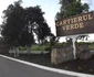 cartier verde