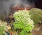 Casă incendiată de un pompier din Șura Mare în Sibiu Foto ISU Sibiu jpeg