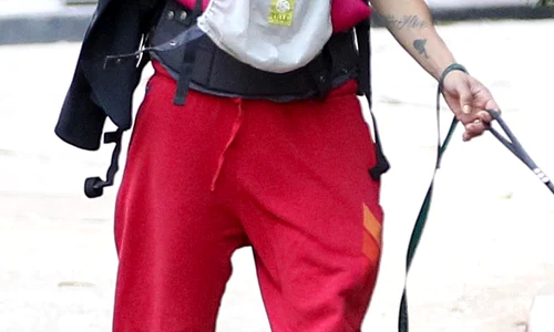 Elisabetta Canalis And Daughter Out Walking Their Dogs jpeg