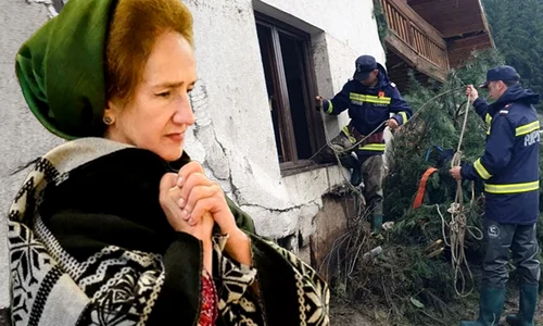 Banner Sofia Vicoveanu