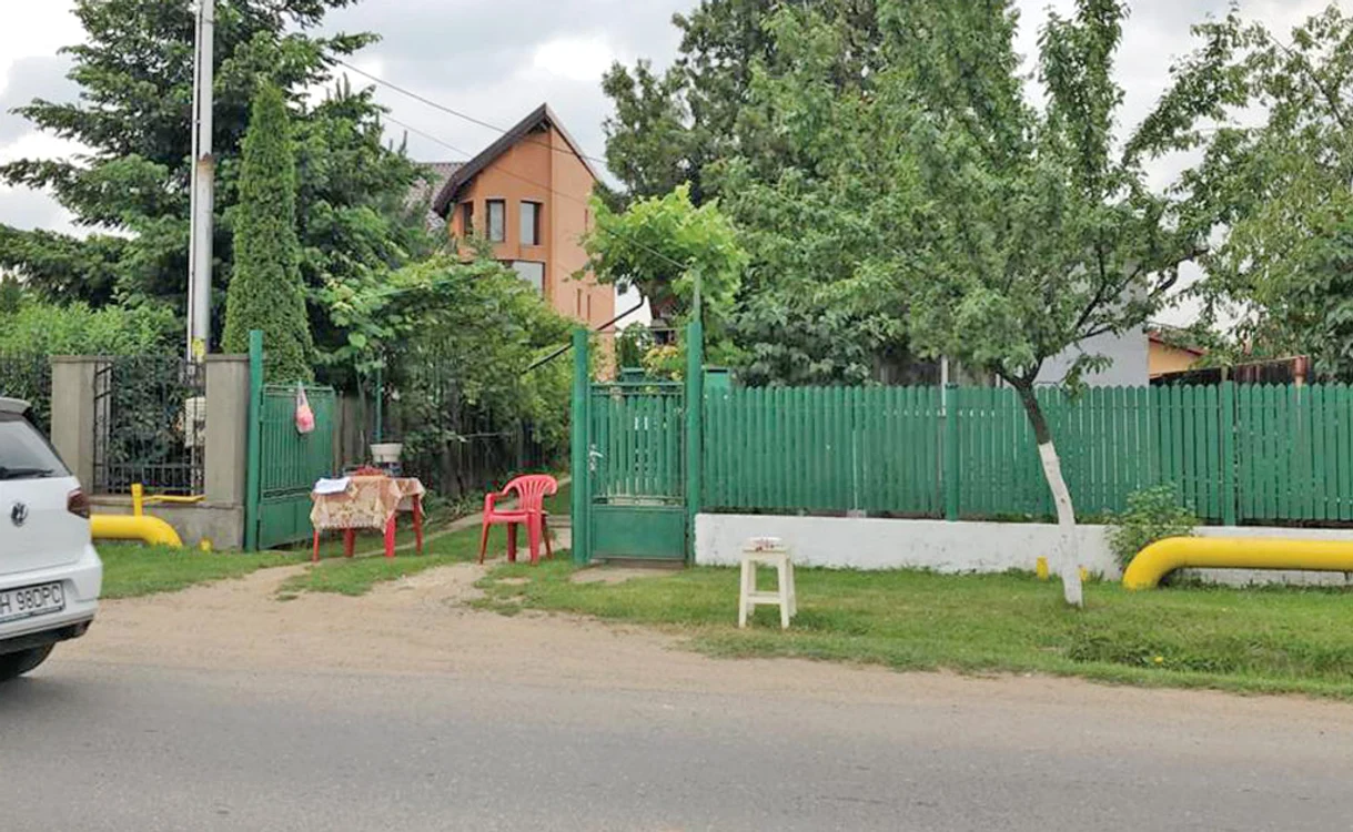 
    Toţi gospodarii  din Păuleşti ies  la poartă cu cireşe  de vânzare  