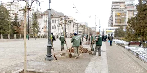 tei iasi ziarul de iasi