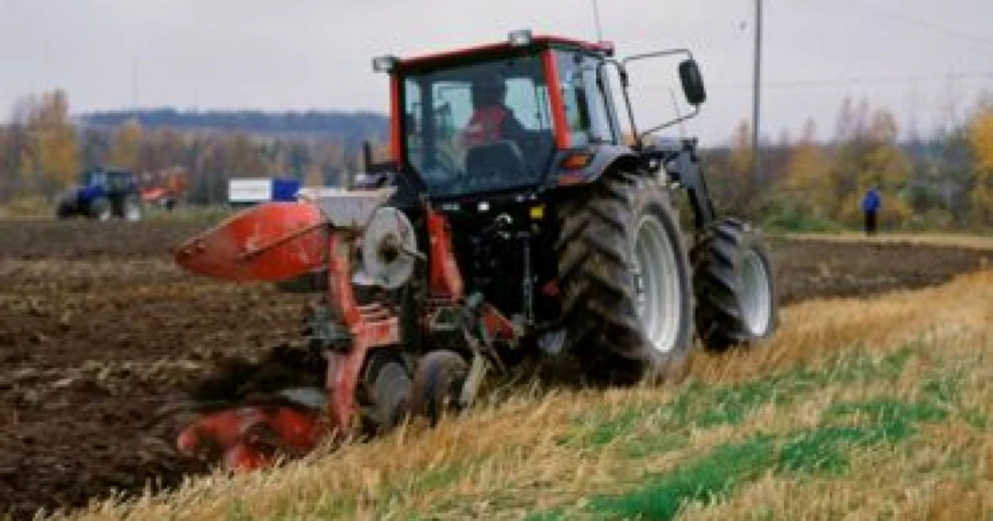 Producătorii agricoli: Suprafaţa culturilor de toamnă se va reduce cu până la 30%, în 2009