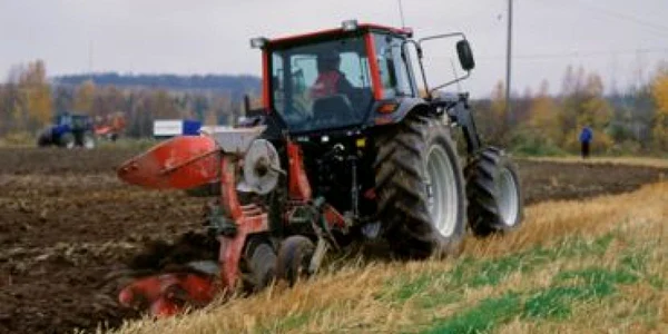 Producătorii agricoli: Suprafaţa culturilor de toamnă se va reduce cu până la 30%, în 2009