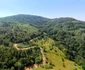 Drumul din Munții Zarandului  Foto Daniel Guță ADEVĂRUL (1) jpg