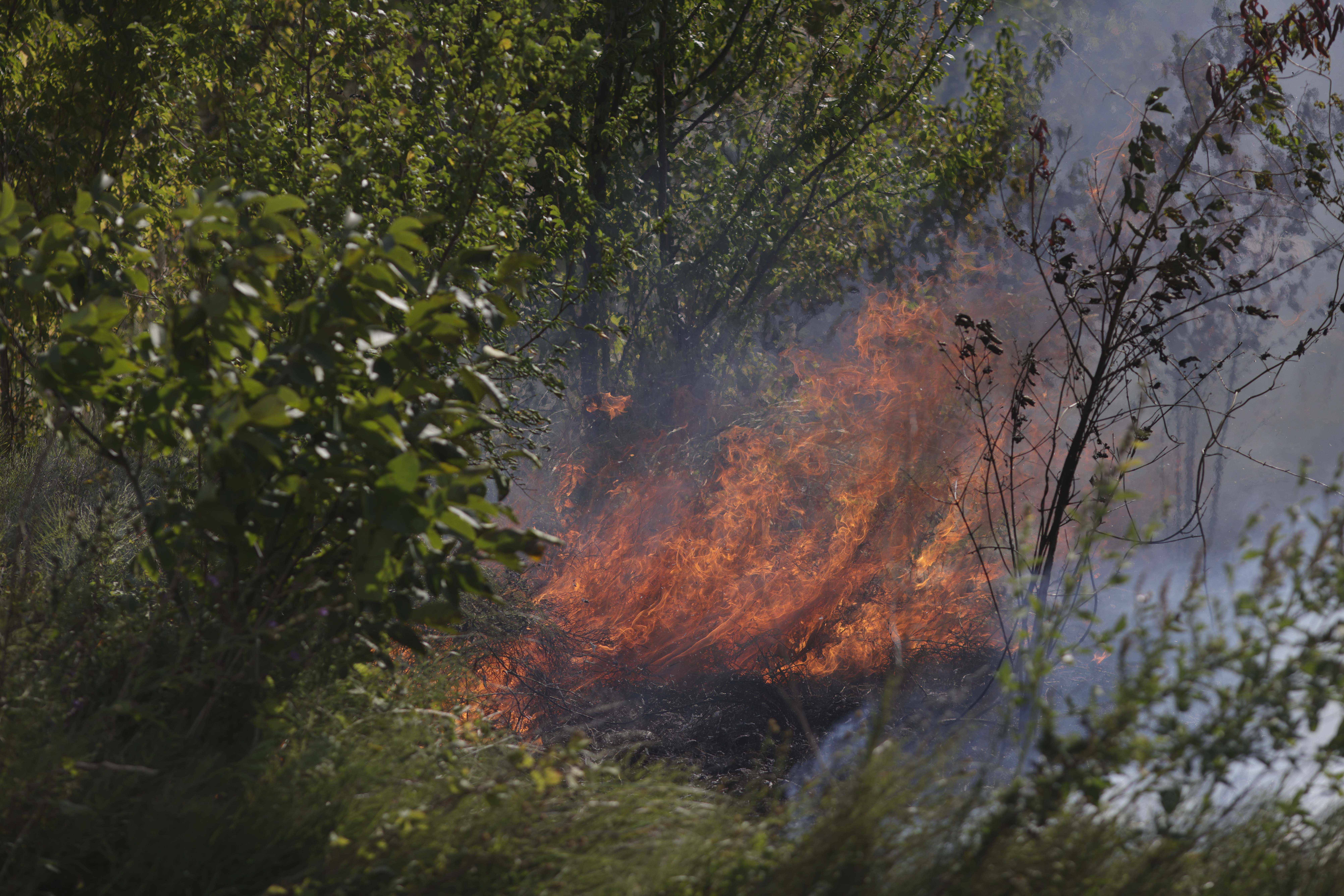INCENDIU DRAGOMIRESTI VALE IF011 INQUAM Photos Octav Ganea jpg