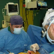 506158662 24053199634275649 4688627045278140823 n jpg