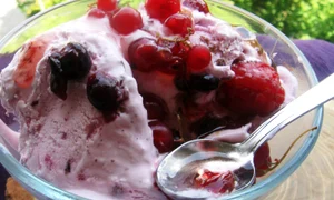 inghetata cu fructe de padure  jpeg
