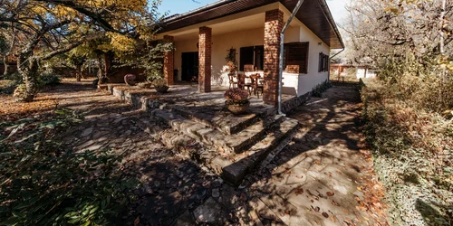 casa doctor teja papahagi domnesti 03 foto Sothebys jpg