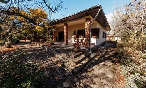 casa doctor teja papahagi domnesti 03 foto Sothebys jpg