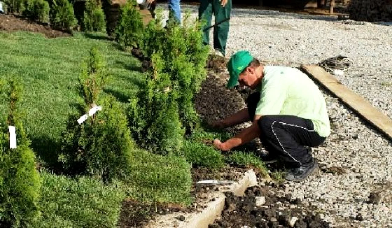 "Punctele forte" ale judeţului au fost rata criminalităţii şi speranţa de viaţă