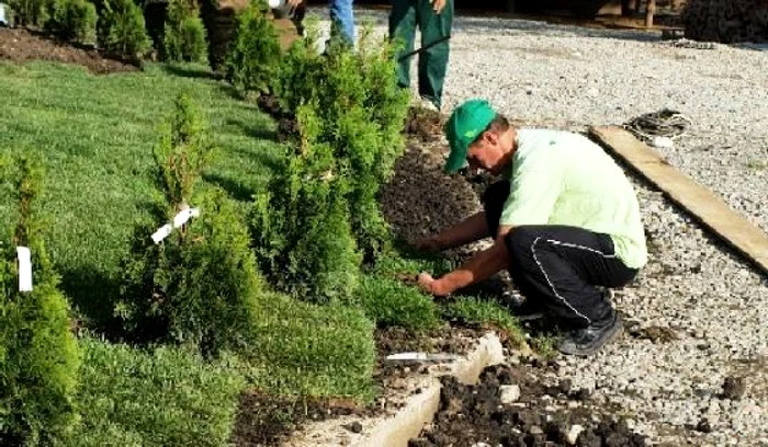 "Punctele forte" ale judeţului au fost rata criminalităţii şi speranţa de viaţă