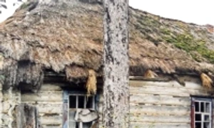 Cernobîl: după 27 de ani jpeg