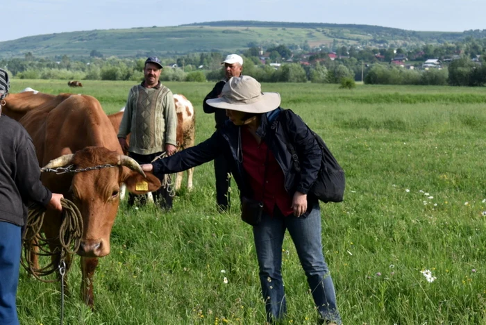 turist in dolhesti