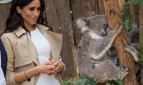 1 gettyimages 1052224660 jpg jpeg