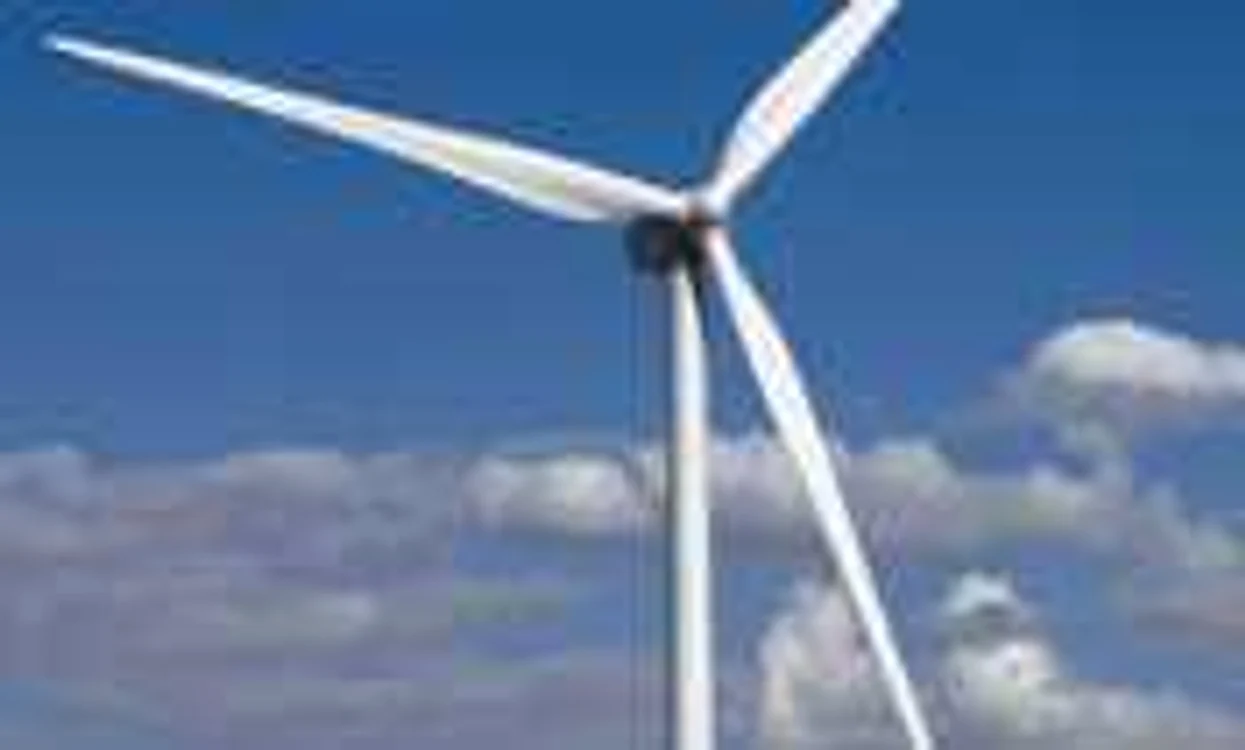 Proiectul parcului eolian din Tulcea al Green Energy, amânat din cauza legislaţiei