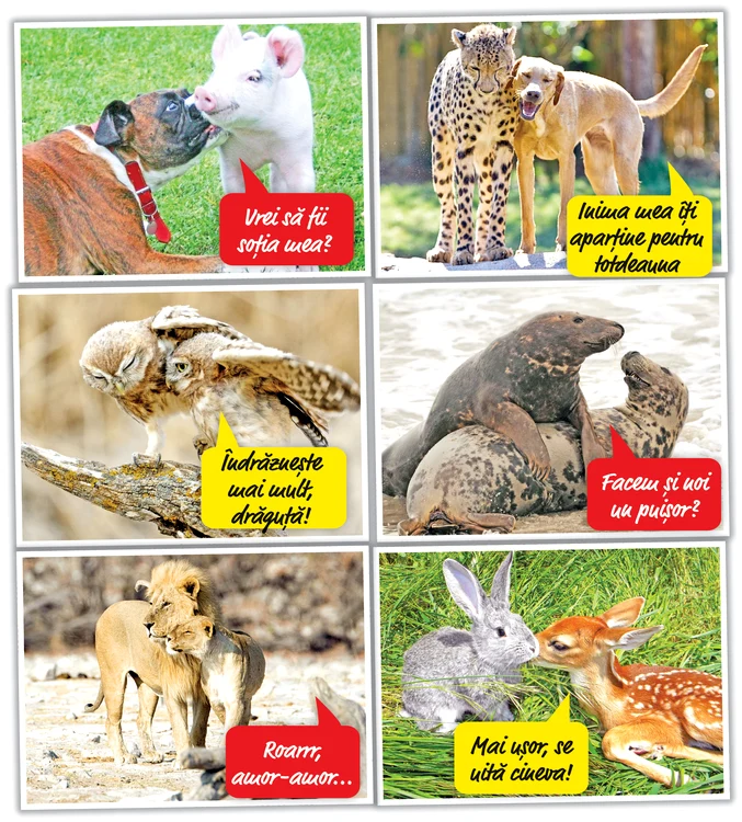 Fotografii: Photoland/Caters