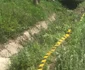Plan Roşu de Acţiune în Vâlcea în urma unui accident pe DN 67 în care un microbuz cu 14 persoane s-a răsturnat în urma unei coliziuni Foto Adevărul